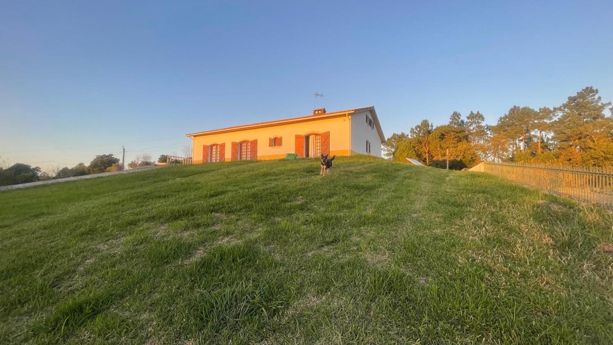Quinta Da Barrosa Apartment Tentugal Bagian luar foto